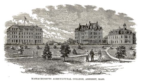Massachusetts Agricultural College 1879